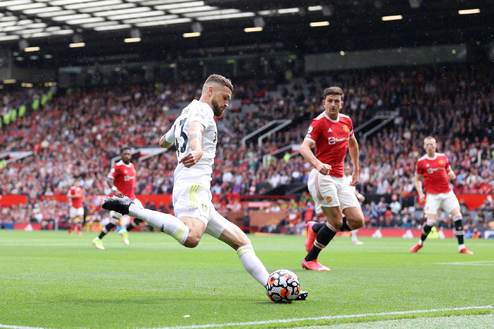 埃利奥特的 埃利奥特的